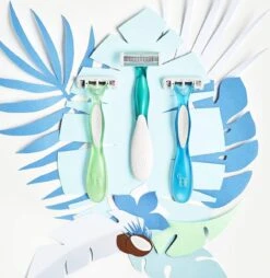 BIC Soleil Bella Wegwerp Scheermesjes Voor Dames - Bundel Van 2 Verpakkingen Van 3 Stuks -Verzorgingsproductenwinkel 1165x1200 1