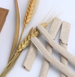 INTER-ESQUE Wenkbrauw Mesje - Eyebrow Razor - Dermaplaning - Scheermesjes Gezicht - Wenkbrauw Scheermesje Van Tarwestro - 6 Stuks 3x Groot + 3x Klein -Verzorgingsproductenwinkel 1168x1200