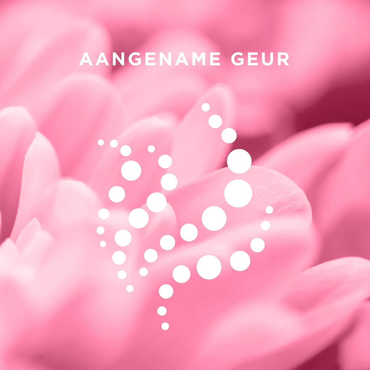 Veet - Ontharingsstrips - Benen & Lichaam - Gevoelige Huid - Easy-Gelwax - 20 Stuks 5 Veet - Ontharingsstrips - Benen & Lichaam - Gevoelige Huid - Easy-Gelwax - 20 Stuks - Afbeelding 5