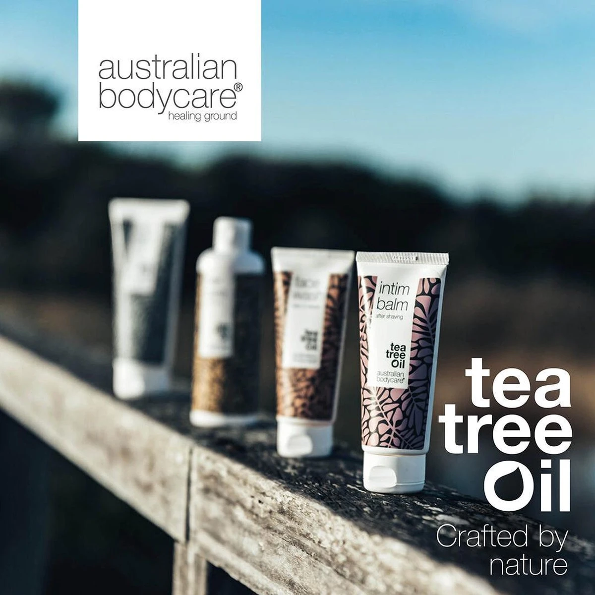 Australian Bodycare Shave Gel 200 Ml - Transparante, Niet-schuimende Scheergel Met Tea Tree Olie Voor Mannen Voor Nauwkeurig En Comfortabel Scheren - Voorkomt Een Branderig Gevoel & Rode Vlekken - Vermindert Ingegroeide Haren 2 Australian Bodycare Shave Gel 200 Ml - Transparante, Niet-schuimende Scheergel Met Tea Tree Olie Voor Mannen Voor Nauwkeurig En Comfortabel Scheren - Voorkomt Een Branderig Gevoel & Rode Vlekken - Vermindert Ingegroeide Haren - Afbeelding 2
