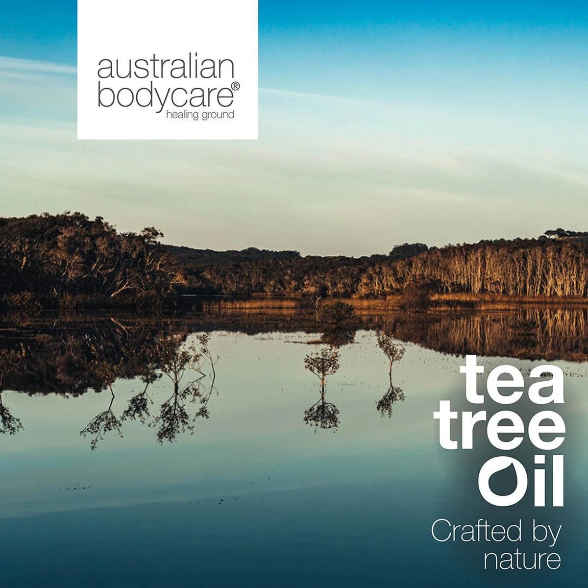 Australian Bodycare Shave Gel 200 Ml - Transparante, Niet-schuimende Scheergel Met Tea Tree Olie Voor Mannen Voor Nauwkeurig En Comfortabel Scheren - Voorkomt Een Branderig Gevoel & Rode Vlekken - Vermindert Ingegroeide Haren 3 Australian Bodycare Shave Gel 200 Ml - Transparante, Niet-schuimende Scheergel Met Tea Tree Olie Voor Mannen Voor Nauwkeurig En Comfortabel Scheren - Voorkomt Een Branderig Gevoel & Rode Vlekken - Vermindert Ingegroeide Haren - Afbeelding 3