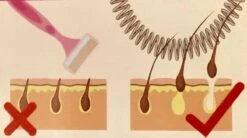 Epileerveer Kleur Lila - RVS - Epileer-veer - Gezichtshaar - Gezichtshaar Verwijderen -Verzorgingsproductenwinkel 1200x672